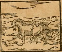 An illustration from Hieroglyphica, sive, De sacris Aegyptiorvm aliarvmqve gentivm literis commentarij (1575)