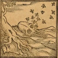 An illustration from Hieroglyphica, sive, De sacris Aegyptiorvm aliarvmqve gentivm literis commentarij (1575)