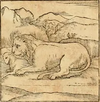 Picture 20 of 390 from Hieroglyphica, sive, De sacris Aegyptiorvm aliarvmqve gentivm literis commentarij (1575), leaf 39