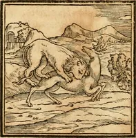 An illustration from Hieroglyphica, sive, De sacris Aegyptiorvm aliarvmqve gentivm literis commentarij (1575)
