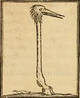 An illustration from Hieroglyphica, sive, De sacris Aegyptiorvm aliarvmqve gentivm literis commentarij (1575)
