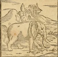 An illustration from Hieroglyphica, sive, De sacris Aegyptiorvm aliarvmqve gentivm literis commentarij (1575)