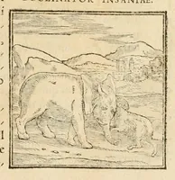 An illustration from Hieroglyphica, sive, De sacris Aegyptiorvm aliarvmqve gentivm literis commentarij (1575)