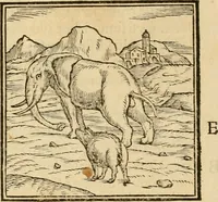 An illustration from Hieroglyphica, sive, De sacris Aegyptiorvm aliarvmqve gentivm literis commentarij (1575)