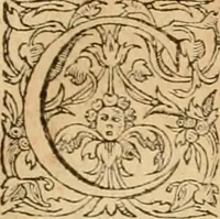Picture 223 of 390 from Hieroglyphica, sive, De sacris Aegyptiorvm aliarvmqve gentivm literis commentarij (1575), leaf 456