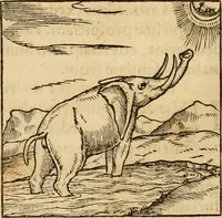 An illustration from Hieroglyphica, sive, De sacris Aegyptiorvm aliarvmqve gentivm literis commentarij (1575)