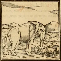 An illustration from Hieroglyphica, sive, De sacris Aegyptiorvm aliarvmqve gentivm literis commentarij (1575)