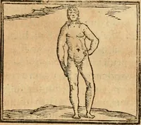 Picture 236 of 390 from Hieroglyphica, sive, De sacris Aegyptiorvm aliarvmqve gentivm literis commentarij (1575), leaf 476