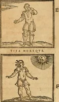 Picture 237 of 390 from Hieroglyphica, sive, De sacris Aegyptiorvm aliarvmqve gentivm literis commentarij (1575), leaf 479