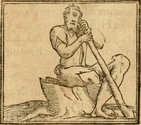 An illustration from Hieroglyphica, sive, De sacris Aegyptiorvm aliarvmqve gentivm literis commentarij (1575)