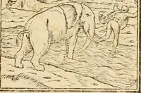 Picture 30 of 390 from Hieroglyphica, sive, De sacris Aegyptiorvm aliarvmqve gentivm literis commentarij (1575), leaf 48