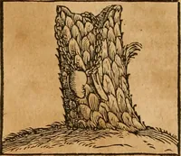 An illustration from Hieroglyphica, sive, De sacris Aegyptiorvm aliarvmqve gentivm literis commentarij (1575)