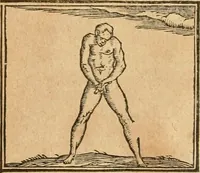 An illustration from Hieroglyphica, sive, De sacris Aegyptiorvm aliarvmqve gentivm literis commentarij (1575)