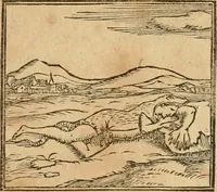 An illustration from Hieroglyphica, sive, De sacris Aegyptiorvm aliarvmqve gentivm literis commentarij (1575)