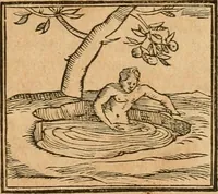 Picture 260 of 390 from Hieroglyphica, sive, De sacris Aegyptiorvm aliarvmqve gentivm literis commentarij (1575), leaf 522