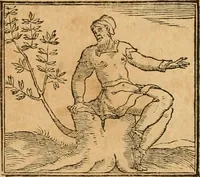 Picture 261 of 390 from Hieroglyphica, sive, De sacris Aegyptiorvm aliarvmqve gentivm literis commentarij (1575), leaf 525