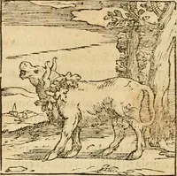 An illustration from Hieroglyphica, sive, De sacris Aegyptiorvm aliarvmqve gentivm literis commentarij (1575)
