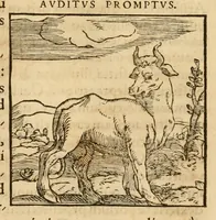 Picture 35 of 390 from Hieroglyphica, sive, De sacris Aegyptiorvm aliarvmqve gentivm literis commentarij (1575), leaf 58