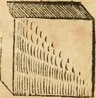 Picture 272 of 390 from Hieroglyphica, sive, De sacris Aegyptiorvm aliarvmqve gentivm literis commentarij (1575), leaf 592