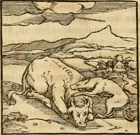 An illustration from Hieroglyphica, sive, De sacris Aegyptiorvm aliarvmqve gentivm literis commentarij (1575)