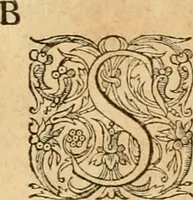 Picture 302 of 390 from Hieroglyphica, sive, De sacris Aegyptiorvm aliarvmqve gentivm literis commentarij (1575), leaf 646