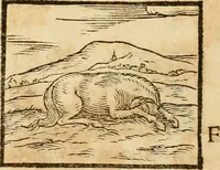 An illustration from Hieroglyphica, sive, De sacris Aegyptiorvm aliarvmqve gentivm literis commentarij (1575)