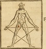 Picture 317 of 390 from Hieroglyphica, sive, De sacris Aegyptiorvm aliarvmqve gentivm literis commentarij (1575), leaf 711