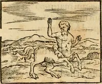 An illustration from Hieroglyphica, sive, De sacris Aegyptiorvm aliarvmqve gentivm literis commentarij (1575)