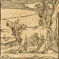 Picture 350 of 390 from Hieroglyphica, sive, De sacris Aegyptiorvm aliarvmqve gentivm literis commentarij (1575), leaf 775
