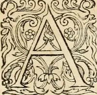 Picture 351 of 390 from Hieroglyphica, sive, De sacris Aegyptiorvm aliarvmqve gentivm literis commentarij (1575), leaf 806