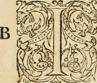 Picture 43 of 390 from Hieroglyphica, sive, De sacris Aegyptiorvm aliarvmqve gentivm literis commentarij (1575), leaf 86