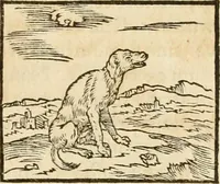 Picture 44 of 390 from Hieroglyphica, sive, De sacris Aegyptiorvm aliarvmqve gentivm literis commentarij (1575), leaf 86