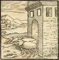 Picture 380 of 390 from Hieroglyphica, sive, De sacris Aegyptiorvm aliarvmqve gentivm literis commentarij (1575), leaf 882