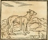 Picture 48 of 390 from Hieroglyphica, sive, De sacris Aegyptiorvm aliarvmqve gentivm literis commentarij (1575), leaf 92