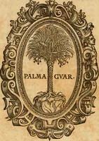 Picture 390 of 390 from Hieroglyphica, sive, De sacris Aegyptiorvm aliarvmqve gentivm literis commentarij (1575), leaf 941