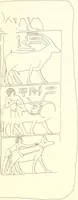 An illustration from Hieroglyphic texts from Egyptian stelae, etc (1911)