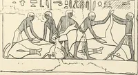 An illustration from Hieroglyphic texts from Egyptian stelae, etc (1911)