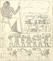 An illustration from Hieroglyphic texts from Egyptian stelae, etc (1911)