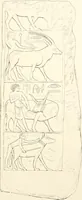 An illustration from Hieroglyphic texts from Egyptian stelae, etc (1911)