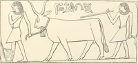 An illustration from Hieroglyphic texts from Egyptian stelae, etc (1911)