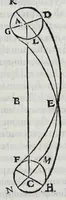 An illustration from Hieronymi Fracastorii veronensis Opera omnia : in vnum proxime post illius mortem collecta, quorum nomina sequens pagina plenius indicat. Accesservnt Andreae Navgerii patricii veneti Orationes duae, carminaq. nonnulla : amicorum cura ob id nuper simul impressa, ut eorum scripta, qui arcta inter se uiuentes necessitudine coniuncti fuerunt, in hominum quoque manus post eorum mortem iuncta pariter peruenirent (1555)