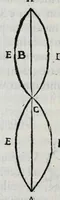 Picture 26 of 37 from Hieronymi Fracastorii veronensis Opera omnia : in vnum proxime post illius mortem collecta, quorum nomina sequens pagina plenius indicat. Accesservnt Andreae Navgerii patricii veneti Orationes duae, carminaq. nonnulla : amicorum cura ob id nuper simul impressa, ut eorum scripta, qui arcta inter se uiuentes necessitudine coniuncti fuerunt, in hominum quoque manus post eorum mortem iuncta pariter peruenirent (1555), leaf 108