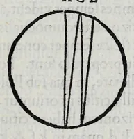 Picture 3 of 37 from Hieronymi Fracastorii veronensis Opera omnia : in vnum proxime post illius mortem collecta, quorum nomina sequens pagina plenius indicat. Accesservnt Andreae Navgerii patricii veneti Orationes duae, carminaq. nonnulla : amicorum cura ob id nuper simul impressa, ut eorum scripta, qui arcta inter se uiuentes necessitudine coniuncti fuerunt, in hominum quoque manus post eorum mortem iuncta pariter peruenirent (1555), leaf 41