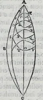Picture 11 of 37 from Hieronymi Fracastorii veronensis Opera omnia : in vnum proxime post illius mortem collecta, quorum nomina sequens pagina plenius indicat. Accesservnt Andreae Navgerii patricii veneti Orationes duae, carminaq. nonnulla : amicorum cura ob id nuper simul impressa, ut eorum scripta, qui arcta inter se uiuentes necessitudine coniuncti fuerunt, in hominum quoque manus post eorum mortem iuncta pariter peruenirent (1555), leaf 75