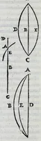 Picture 12 of 37 from Hieronymi Fracastorii veronensis Opera omnia : in vnum proxime post illius mortem collecta, quorum nomina sequens pagina plenius indicat. Accesservnt Andreae Navgerii patricii veneti Orationes duae, carminaq. nonnulla : amicorum cura ob id nuper simul impressa, ut eorum scripta, qui arcta inter se uiuentes necessitudine coniuncti fuerunt, in hominum quoque manus post eorum mortem iuncta pariter peruenirent (1555), leaf 76