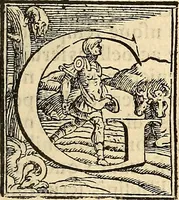 Picture 6 of 11 from Hieronymi Mercurialis Variarum lectionum libri quatuor : in quibus complurium, maximeq[ue] medicinae scriptorum infinita paenè loca vel corrupta restituuntur, vel obscura declarantur ; Alexandri Tralliani De lumbricis epistola (1571), leaf 104