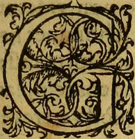 An illustration from Hieronymi Mercurialis Variarum lectionum, in medicinae scriptoribus et aliis, libri quinque priores (1585)