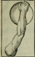 An illustration from Hieronymi Mercvrialis De arte gymnastica libri sex : in quibus exercitationum omnium vetustarum genera, loca, modi, facultates, & quidquid deniq. ad corporis humani exercitationes pertinet, diligenter explicatur .. (1573)