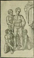 An illustration from Hieronymi Mercvrialis De arte gymnastica libri sex : in quibus exercitationum omnium vetustarum genera, loca, modi, facultates, & quidquid deniq. ad corporis humani exercitationes pertinet, diligenter explicatur .. (1573)