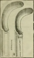 Picture 7 of 29 from Hieronymi Mercvrialis De arte gymnastica libri sex : in quibus exercitationum omnium vetustarum genera, loca, modi, facultates, & quidquid deniq. ad corporis humani exercitationes pertinet, diligenter explicatur .. (1573), leaf 46